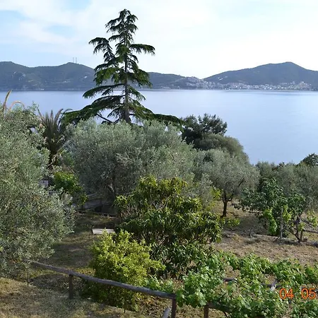 Palio Tsifliki